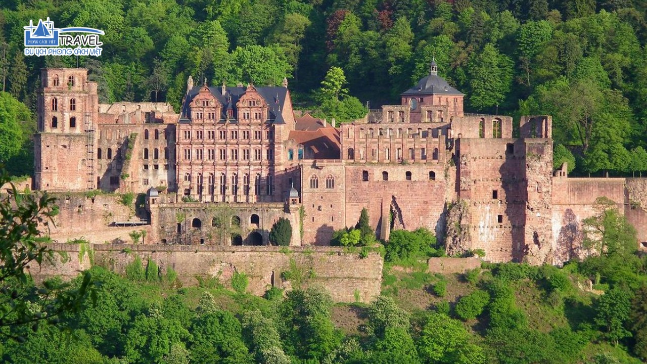 lau-dai-co-heidelberg