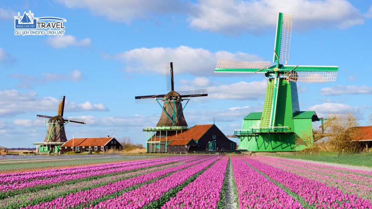 Zaanse-Schans-tour-phap-lux-bi-duc-ha-lan