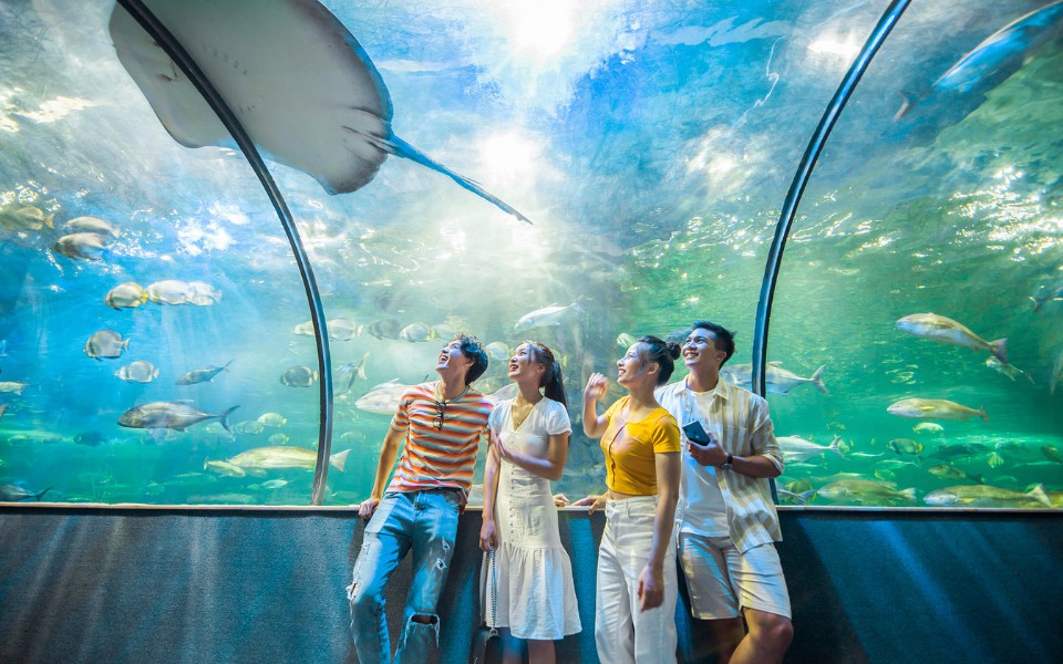 thuy-cung-tai-vinwonders