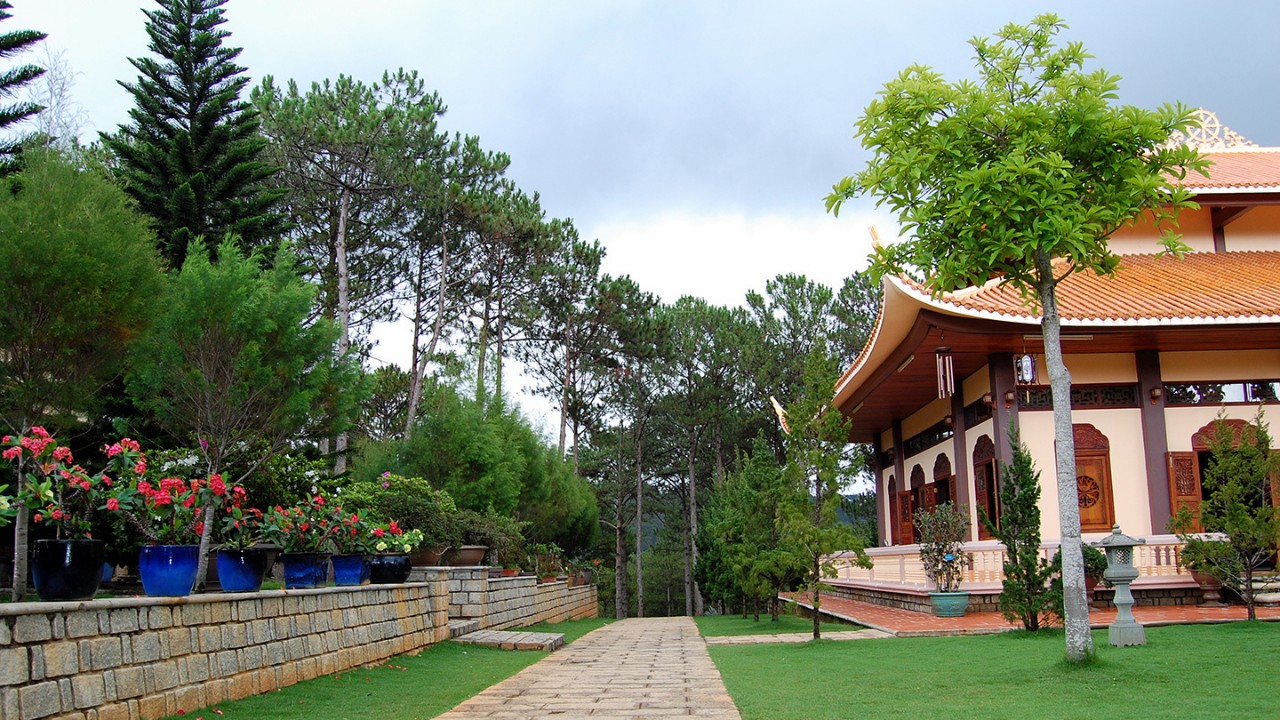 len-da-lat-cau-nguyen