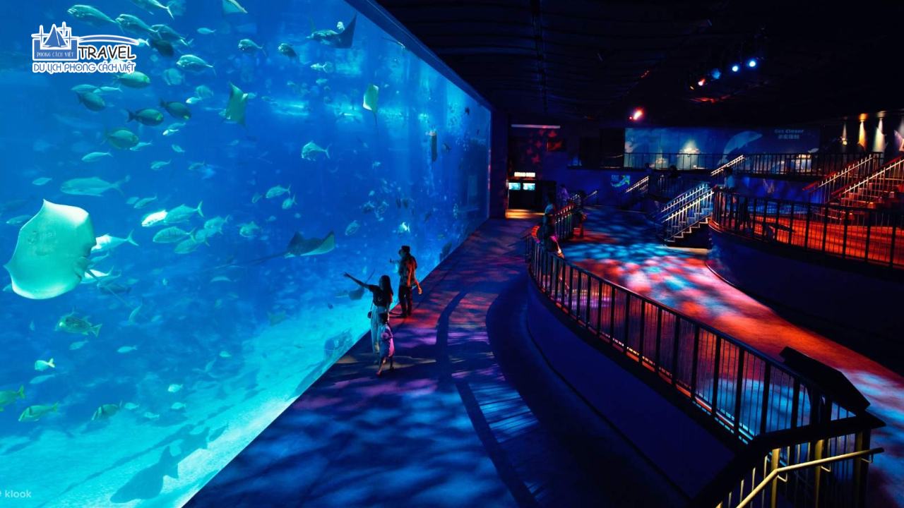 sea-aquarium-singapore