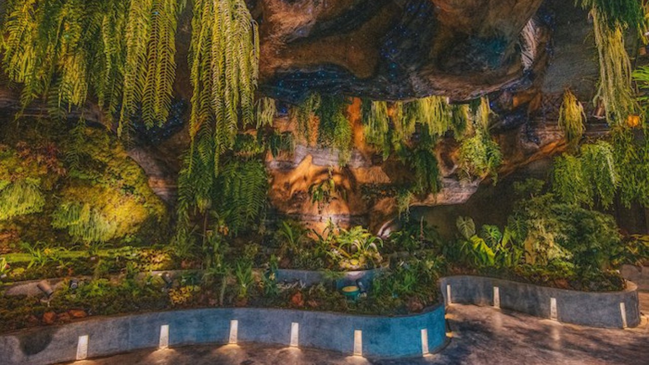 floral-fantasy-tuyet-dep