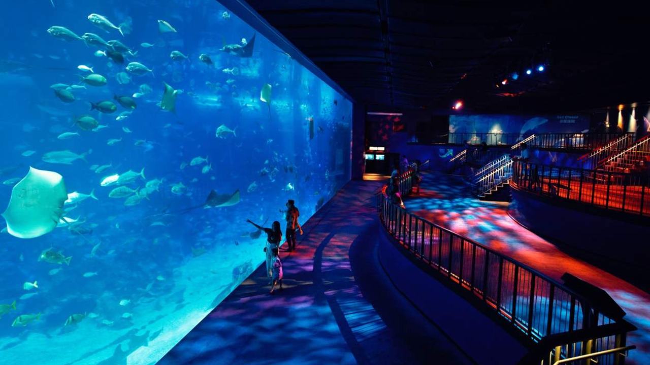sea-aquarium-singapore