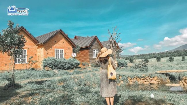 Đà Lạt Milk Farm thu hút nhiều bạn trẻ đến check in