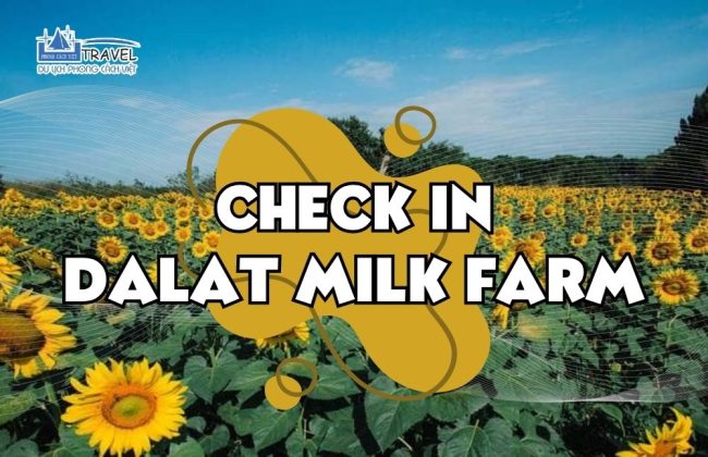 https://phongcachviettravel.vn/check-in-nong-trai-bo-sua-dalat-milk-farm/