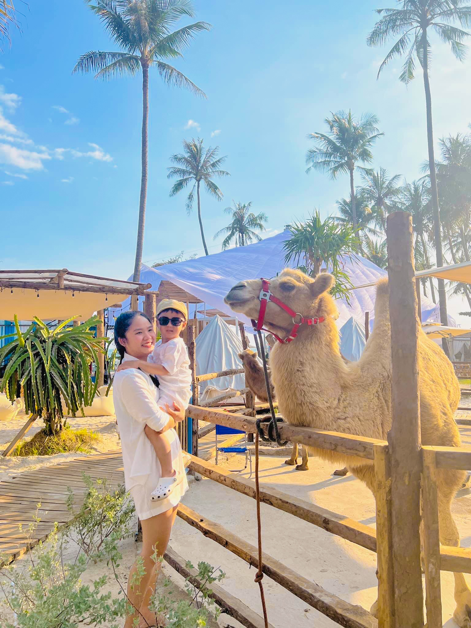Cập nhật giá vé mới nhất Mango Beach Phan Thiết - Phong Cách Việt Travel