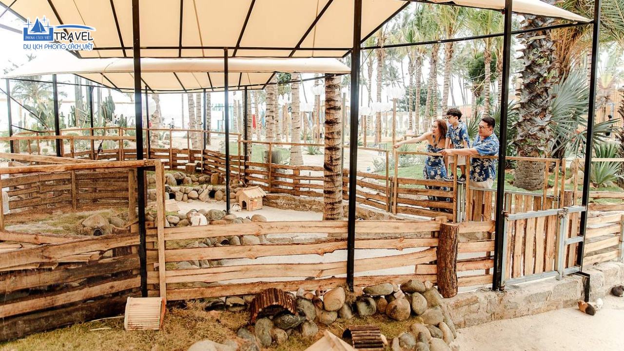 vuon-thu-mango-beach