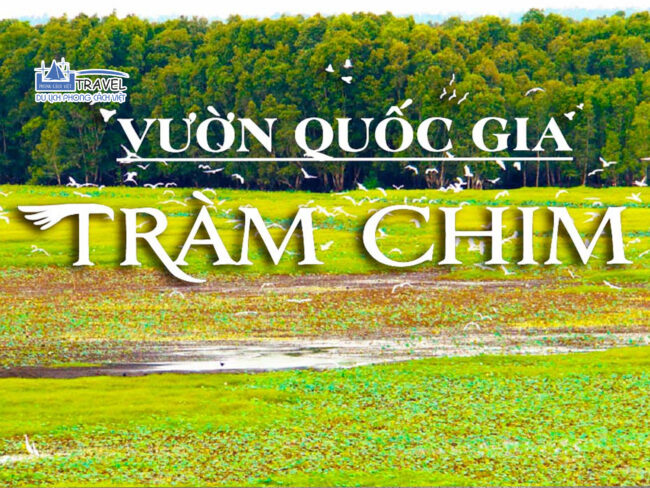 https://phongcachviettravel.vn/kham-pha-vuon-quoc-gia-tram-chim-dong-thap-muoi-thu-nho/