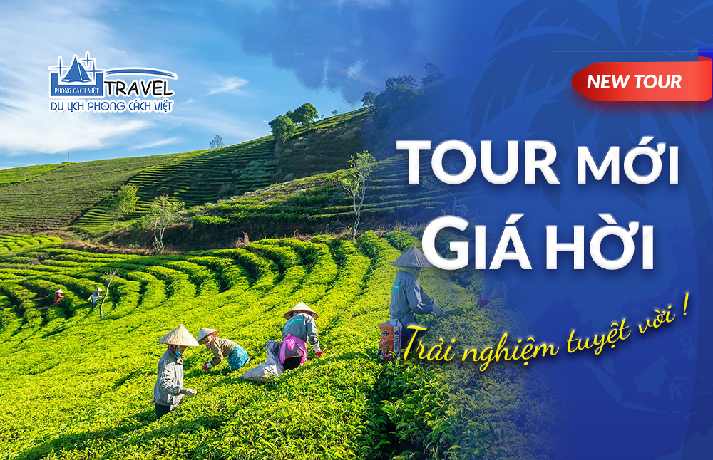 TOUR SIÊU TIẾT KIỆM – KICK OFF : BẢO LỘC – ĐỒI CHÈ – MADAGUI 2N1Đ