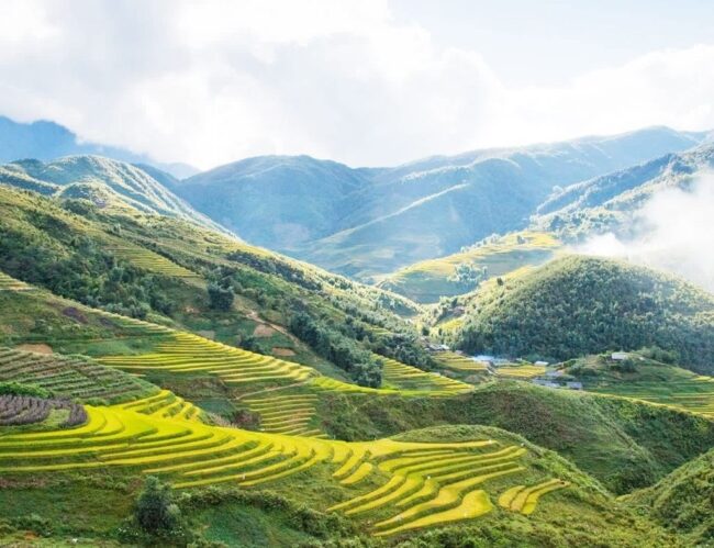 Du Lịch Hè Ở Sapa