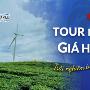 TOUR SIÊU TIẾT KIỆM - KICK OFF : ĐÀ LẠT- SĂN MÂY PANORAMA 3N3Đ