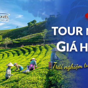 TOUR SIÊU TIẾT KIỆM - KICK OFF : BẢO LỘC - ĐỒI CHÈ - MADAGUI 2N1Đ