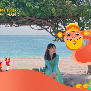 TOUR TẾT NGUYÊN ĐÁN 2025: PHÚ QUÝ - HÒN TRANH 3N2Đ