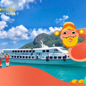 TOUR TẾT NGUYÊN ĐÁN 2025: CÔN ĐẢO - TRẦN ĐỀ 2N2Đ