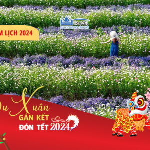 TOUR TẾT ÂM LỊCH 2024 DU LỊCH ĐÀ LẠT - COFFEE TOUR 3 NGÀY 2 ĐÊM