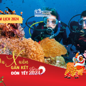 TOUR TẾT NGUYÊN ĐÁN 2024 ĐẢO PHÚ QUÝ - BÃI TRANH + LẶN NGẮM SAN HÔ 3N2Đ