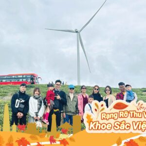 TOUR: ĐÀ LẠT 2N2Đ - XE GIƯỜNG NẰM