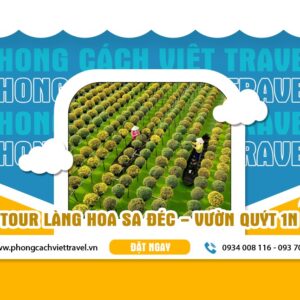 TOUR LÀNG HOA SA ĐÉC - VƯỜN QUÝT 1N