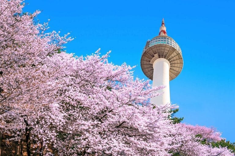 TOUR BUSAN – DAEGU – SEOUL 5N5Đ - TBS01