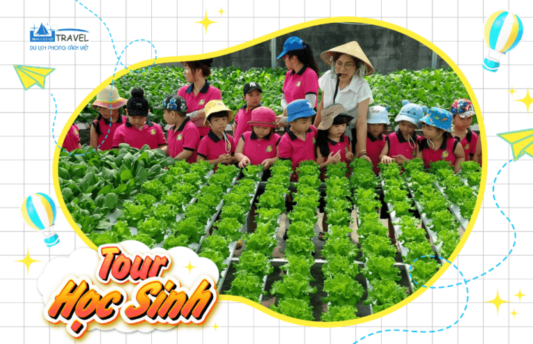 TOUR HỌC SINH TRẢI NGHIỆM TRỒNG RAU 1 NGÀY - HS003