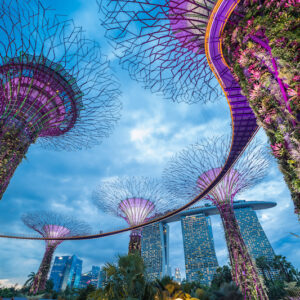 TOUR SINGAPORE MONO 3N2Đ