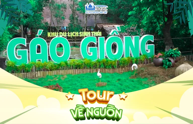 TOUR VỀ NGUỒN KDT LỊCH SỬ NGÃ BA GIỒNG – KDL GÁO GIỒNG 1 NGÀY - SGVN-005