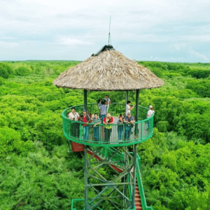 Tham quan khu di tích Rừng Sác Cần Giờ
