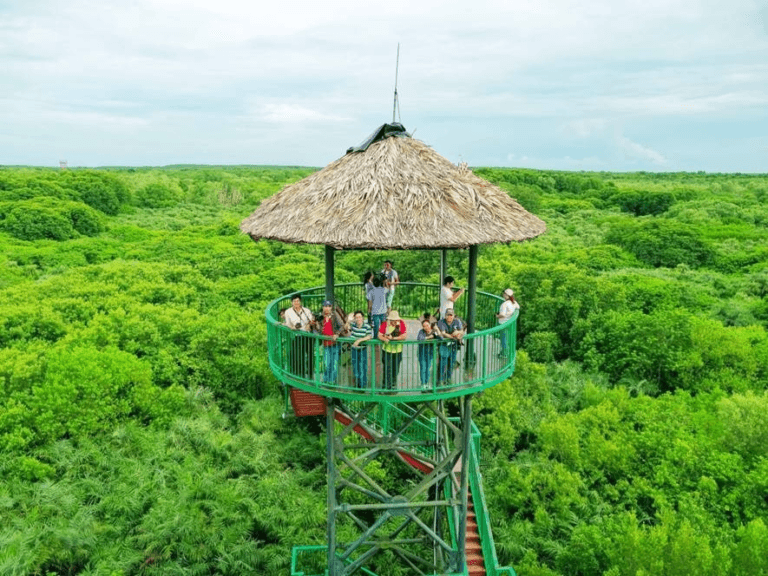 TOUR VỀ NGUỒN CẦN GIỜ – ĐẢO KHI – RỪNG SÁC 1 NGÀY - SGVN-010