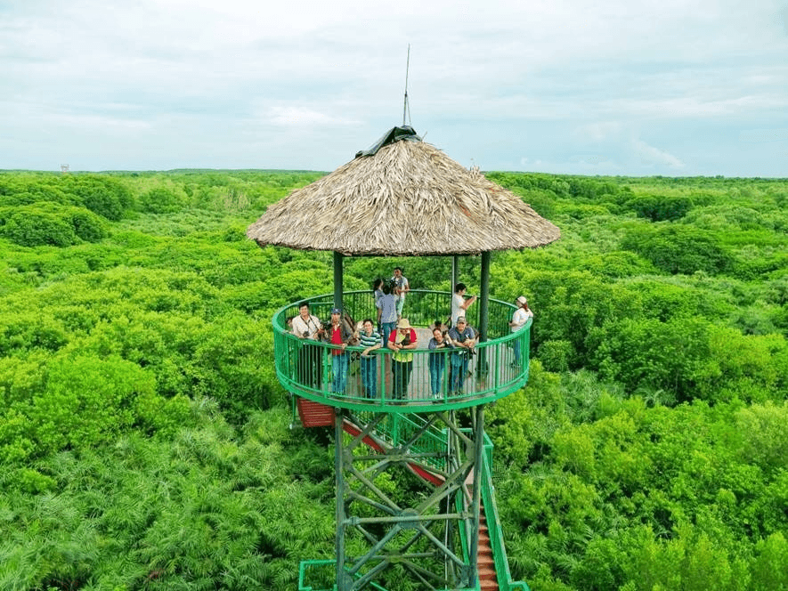 Tham quan khu di tích Rừng Sác Cần Giờ