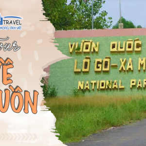 TOUR VỀ NGUỒN TÂY NINH - VƯỜN QUỐC GIA LÒ GÒ XA MÁT 1 NGÀY