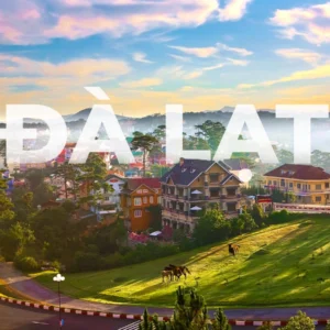 TOUR DU LỊCH BÌNH HƯNG - ĐÀ LẠT 4N4Đ