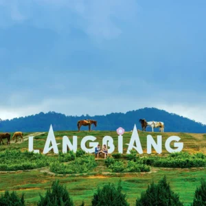 TOUR HÀNH HƯƠNG ĐÀ LẠT 2N2Đ