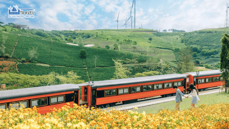 TOUR ĐÀ LẠT – NHỮNG MÙA HOA 4N3Đ TRỌN GÓI GIÁ RẺ