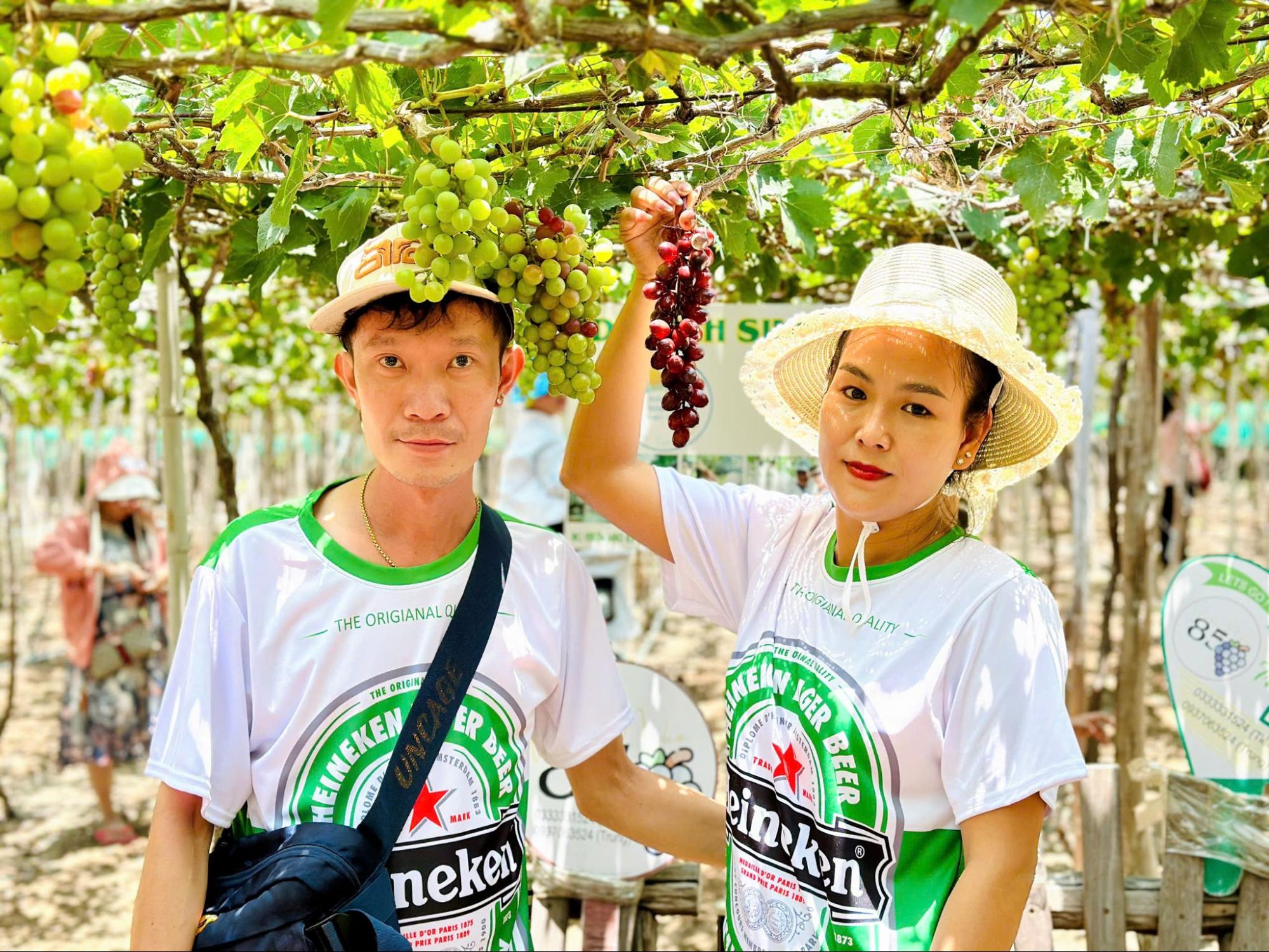 Vườn nho Phan Rang