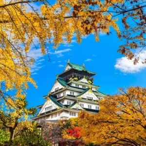 Lâu đài Osaka được xây dựng từ thế kỷ XVI