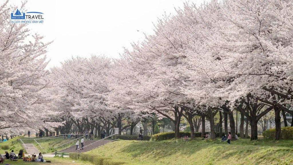TOUR NHẬT BẢN: HOKKAIDO 6N6Đ