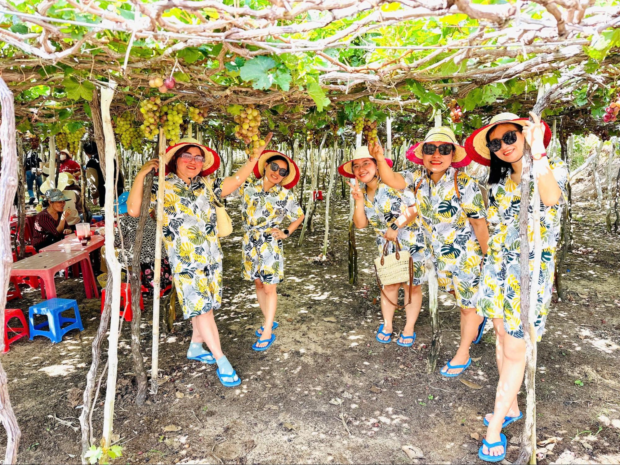 Tham quan vườn nho tại Phan Rang