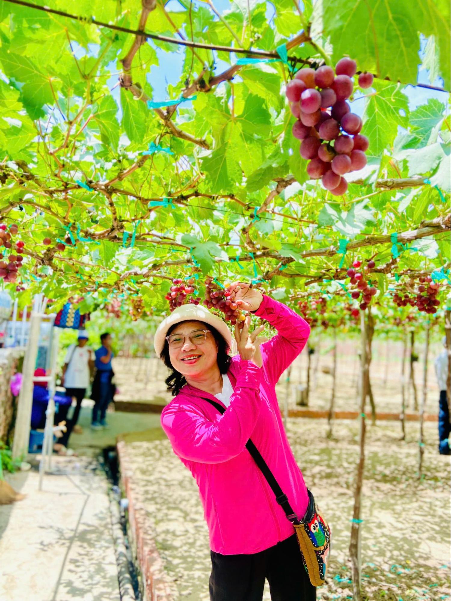 Tham quan Vườn nho Phan Rang