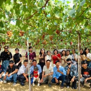 Tham quan vườn nho tại Ninh Thuận