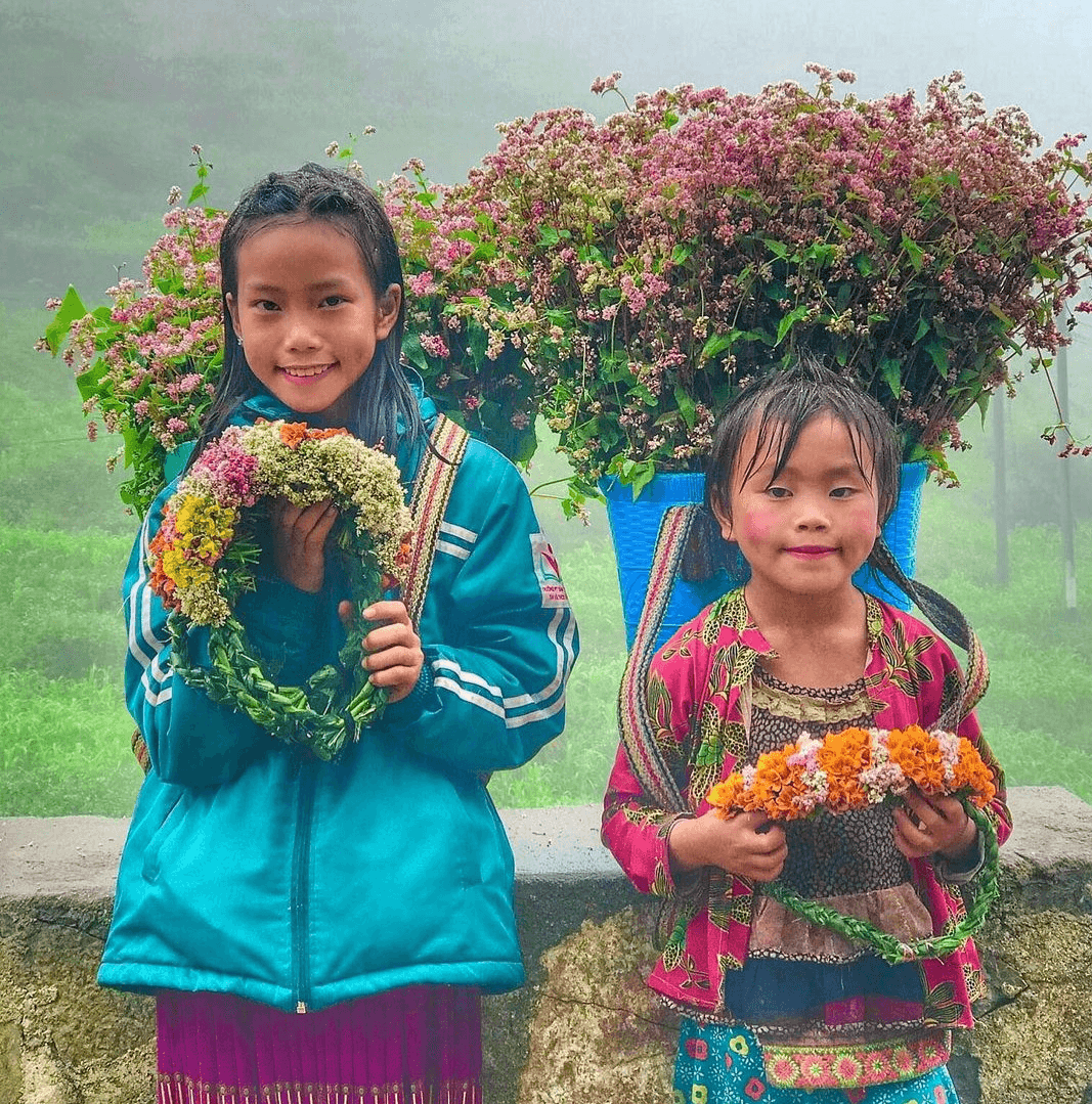 Trẻ em H'Mông bán vòng hoa tam giác mạch tại dốc Thẩm Mã Hà Giang