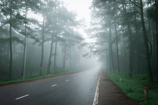 Đường đèo Măng Đen sương mù bảng lảng giữa rừng thông Kon Tum