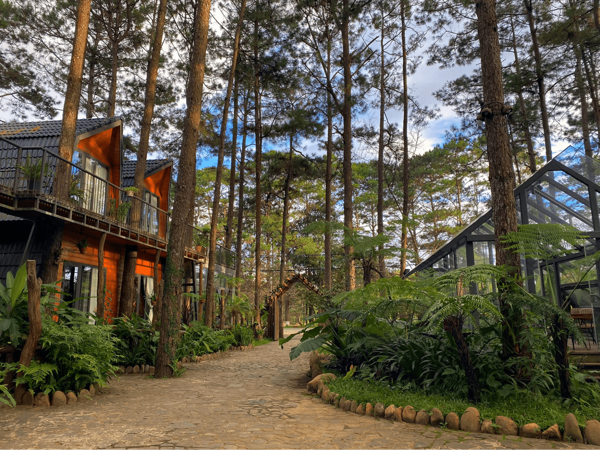 Khu homestay nhà gỗ và nhà kính giữa rừng thông Măng Đen Kon Tum