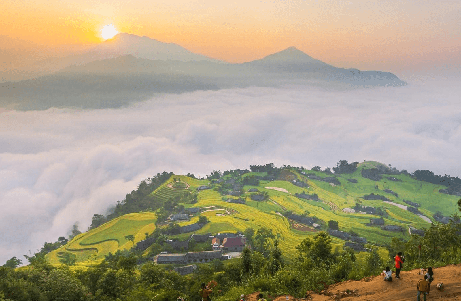 Săn mây bình minh trên đỉnh ruộng bậc thang Thông Nguyên Hoàng Su Phì