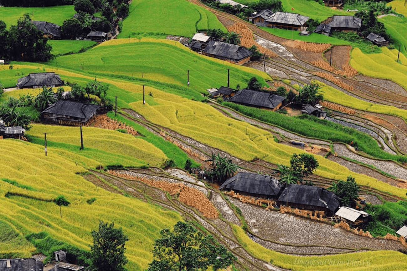 Bản làng người Dao đỏ bình yên giữa ruộng bậc thang Hoàng Su Phì