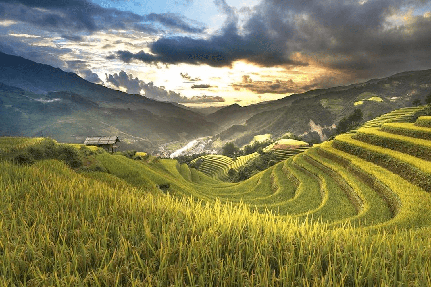 Hoàng hôn rực rỡ buông xuống ruộng bậc thang Nậm Ty Hoàng Su Phì