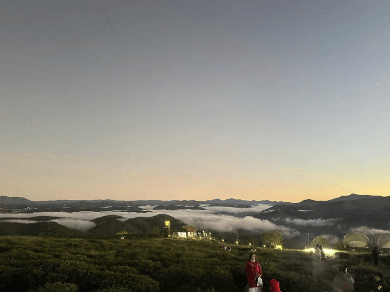 Săn mây hoàng hôn lãng mạn trên đồi chè gần Dalat Fairytale Land