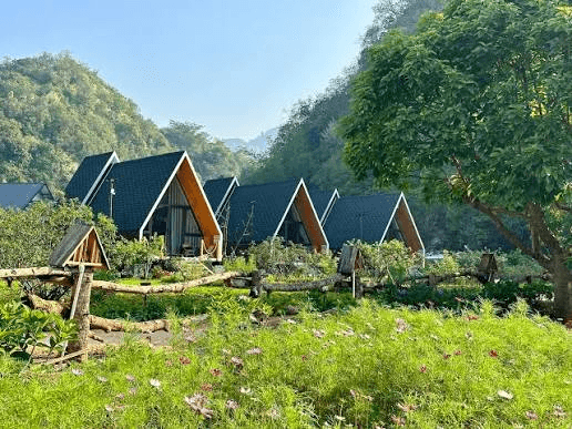 Khu homestay nhà gỗ hình tam giác mái ngói xanh giữa vườn hoa Mộc Châu