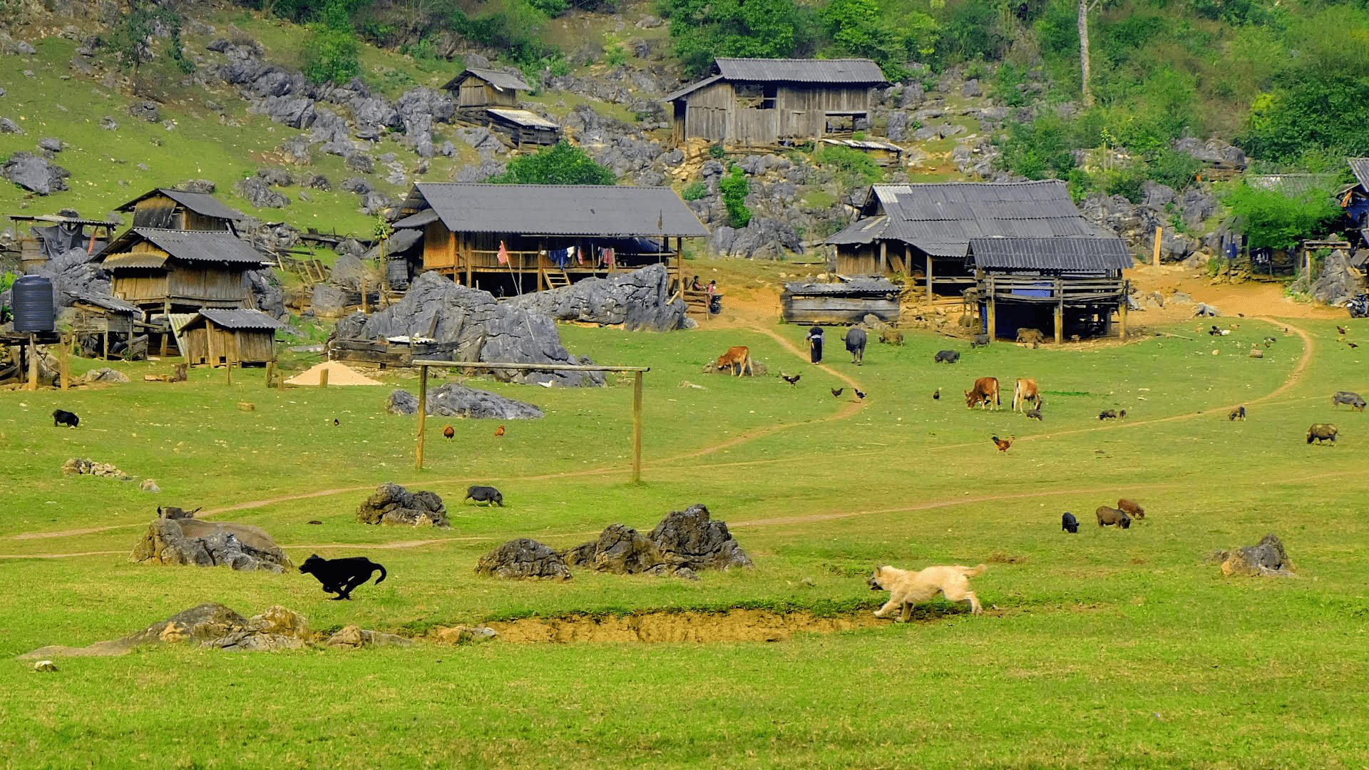 Bản Hang Táu làng nguyên thủy bình yên trên thảo nguyên Mộc Châu