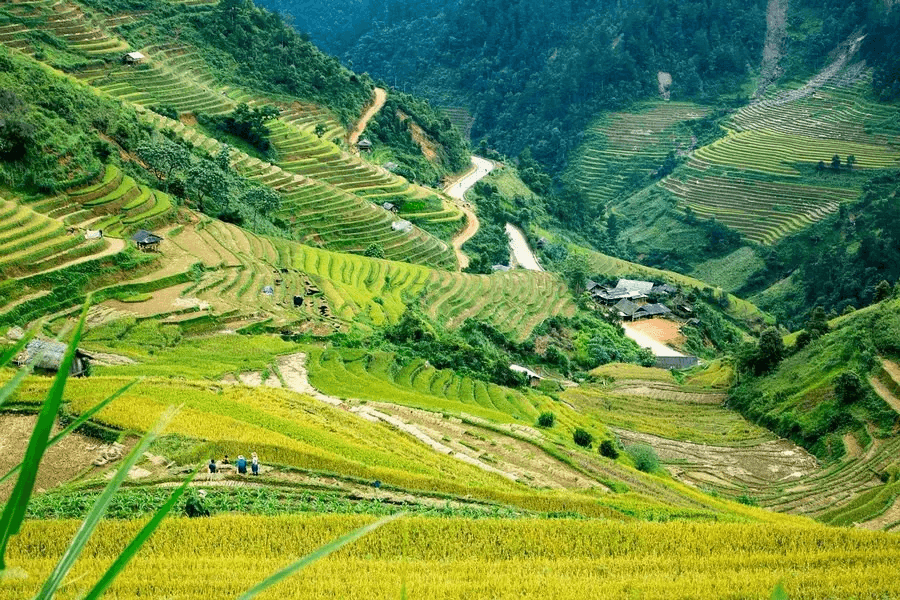 Cung đường uốn lượn qua thung lũng ruộng bậc thang Mù Cang Chải