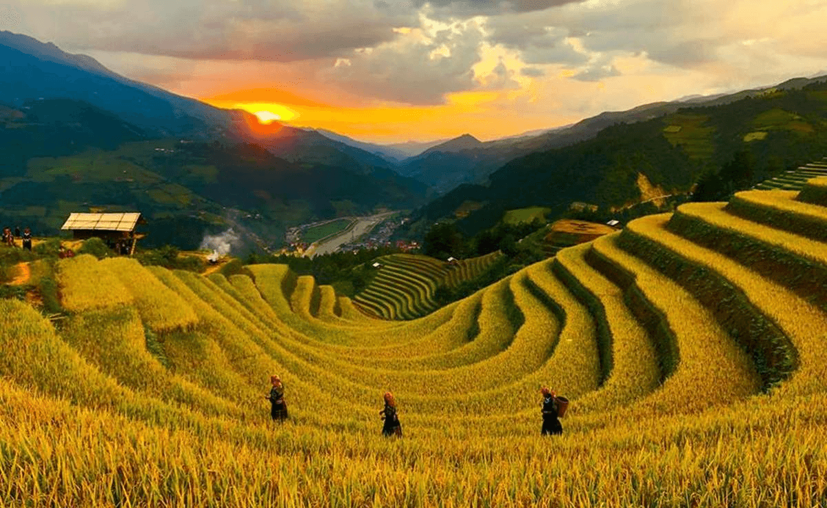 Hoàng hôn buông xuống ruộng bậc thang đồi móng ngựa Mù Cang Chải